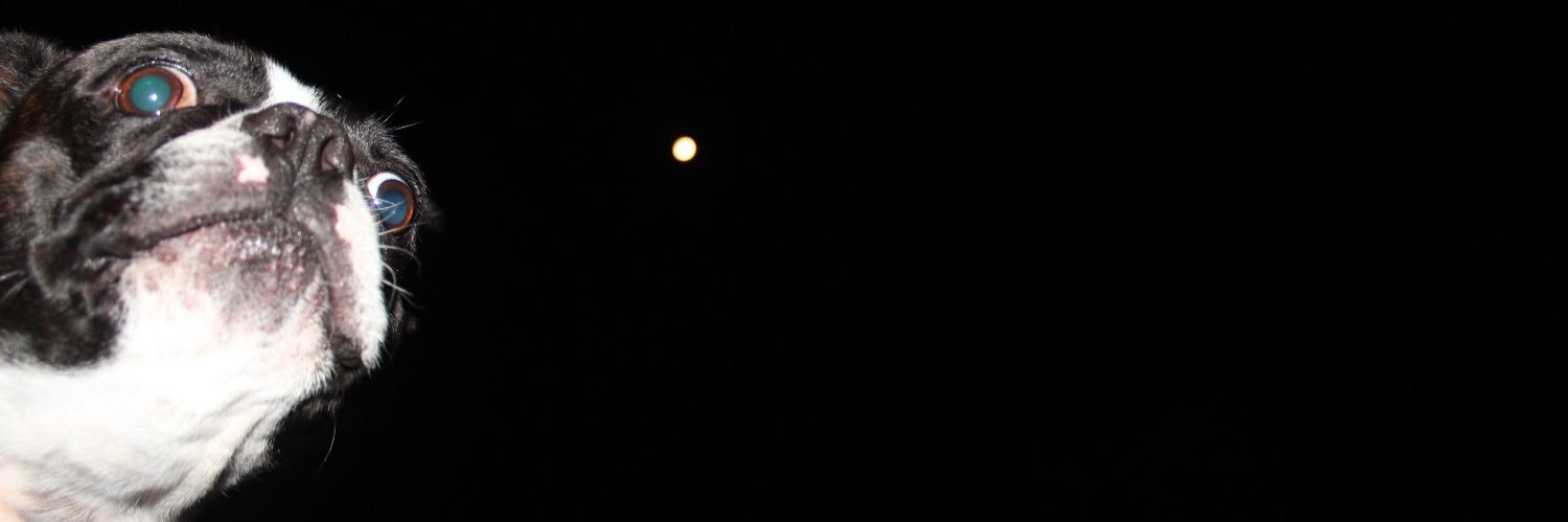 Don_Ba's profile banner image