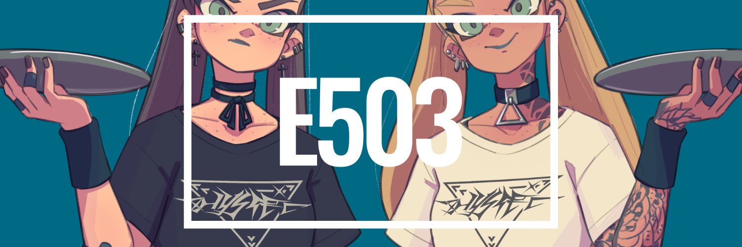 E503 banner