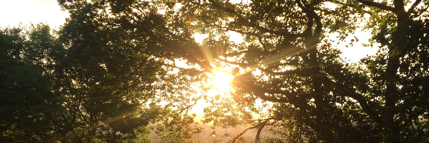 clare williams banner