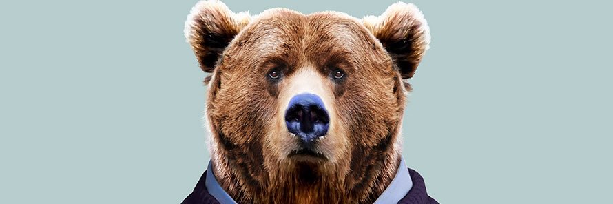 loweythebear's profile banner image