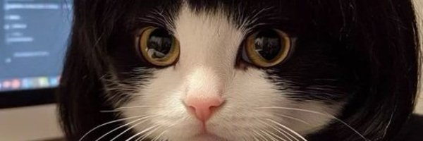 dany_penelops2 Profile Banner