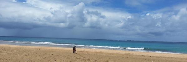 SparrowApril Profile Banner