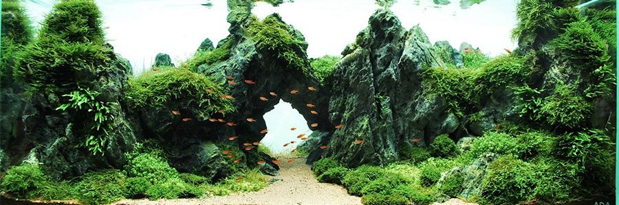 Taufiq_K's profile banner image