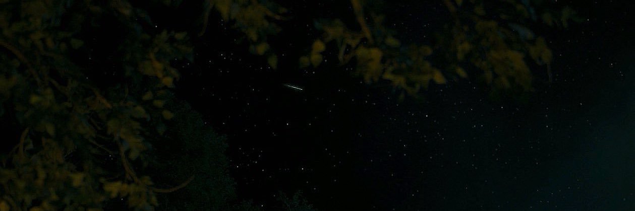 delicatebreast's profile banner image