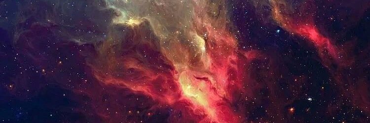 joyrheman's profile banner image
