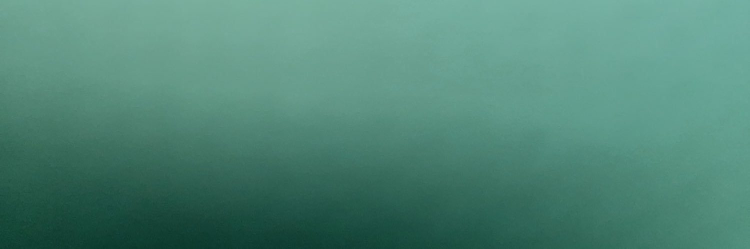 theplati's profile banner image