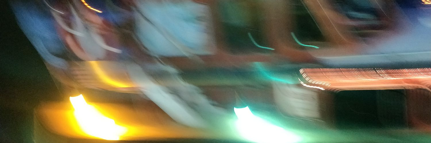 Leon banner