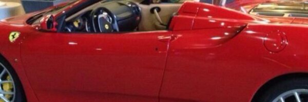 Diorella Profile Banner