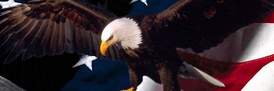AndrewPJBurns's profile banner image
