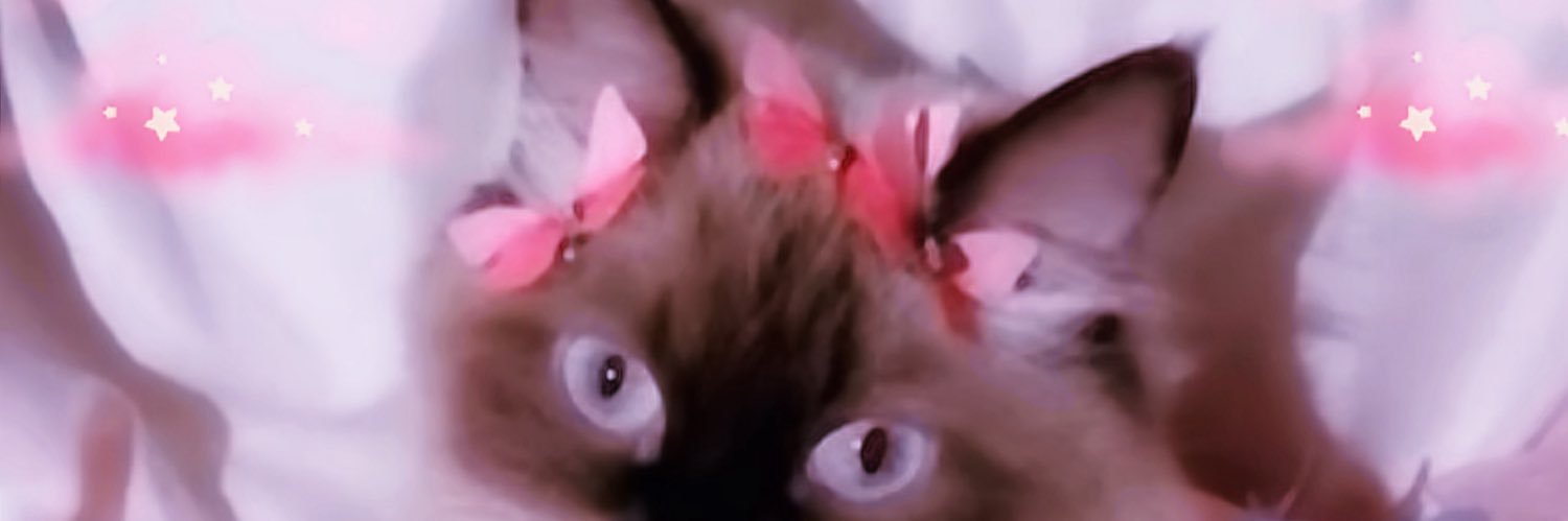 レオ banner
