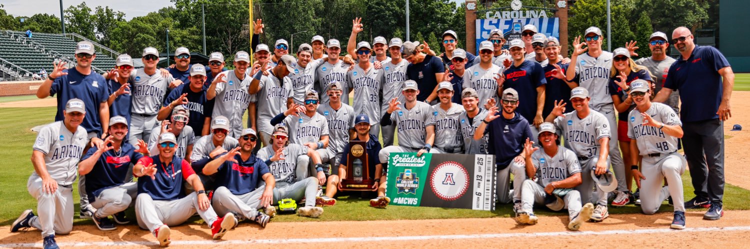 Arizona Baseball's banner