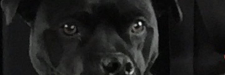 ned862's profile banner image