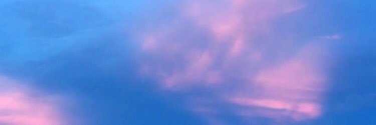 jasmineperkin's profile banner image