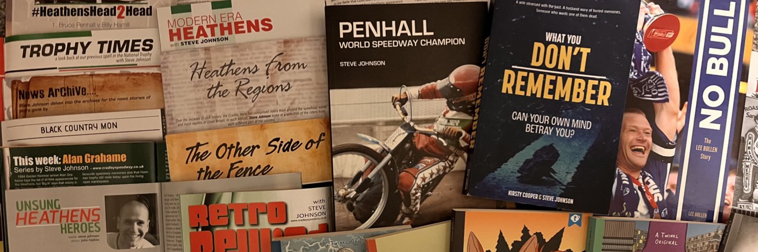 Steve Johnson banner