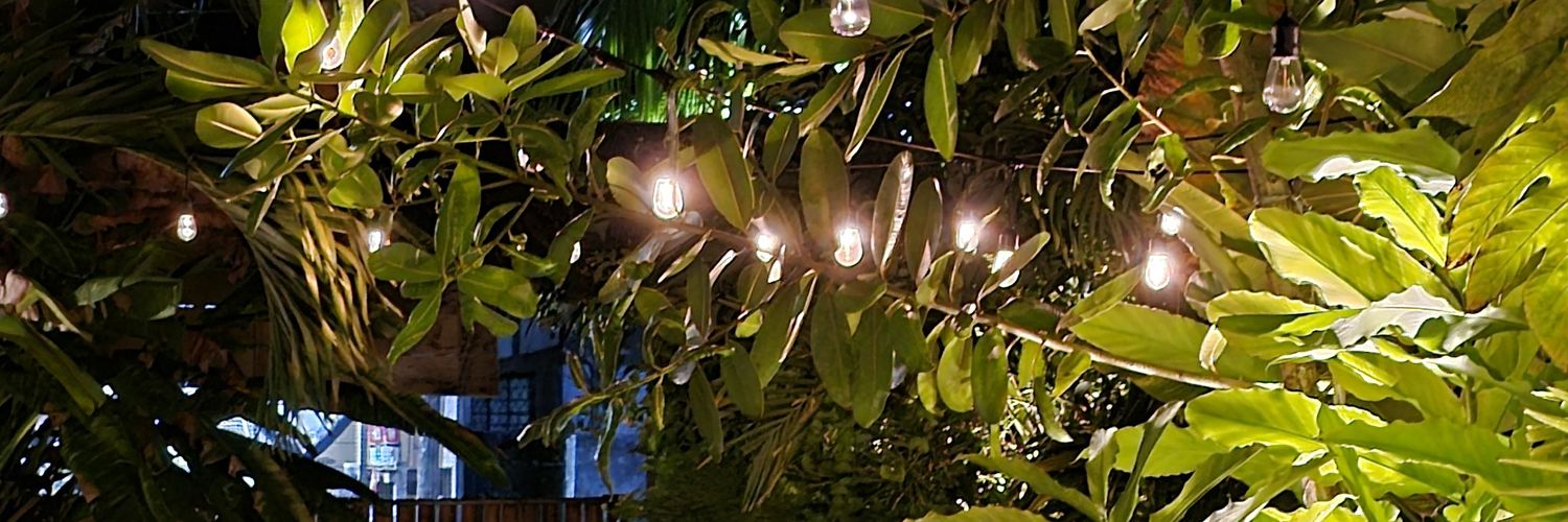 kyuketsukipearl's profile banner image