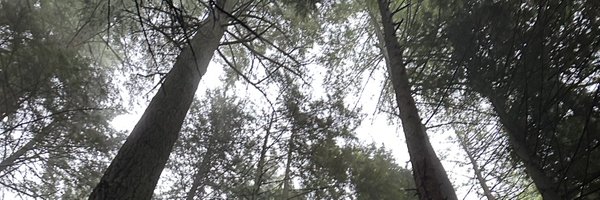 BertoldIsabella Profile Banner