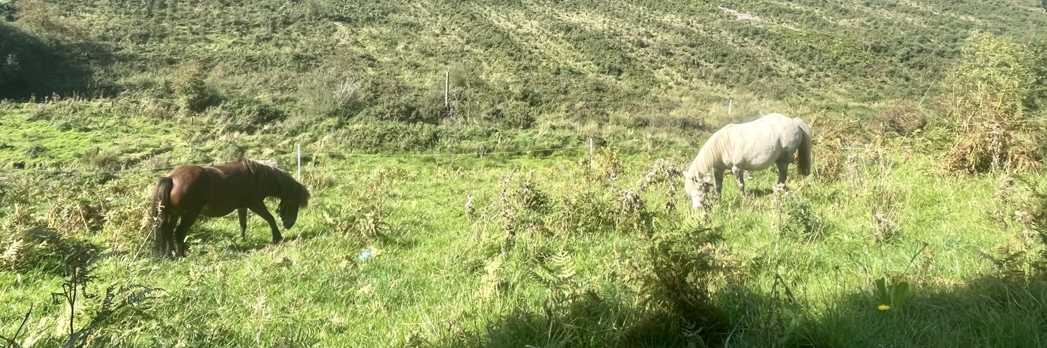 Míchéal Ó Drisleáin banner
