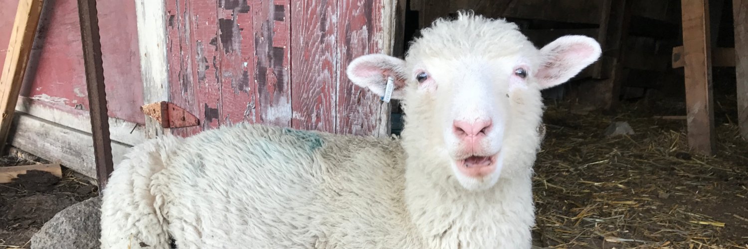 Institute for Agriculture and Trade Policy (IATP) banner