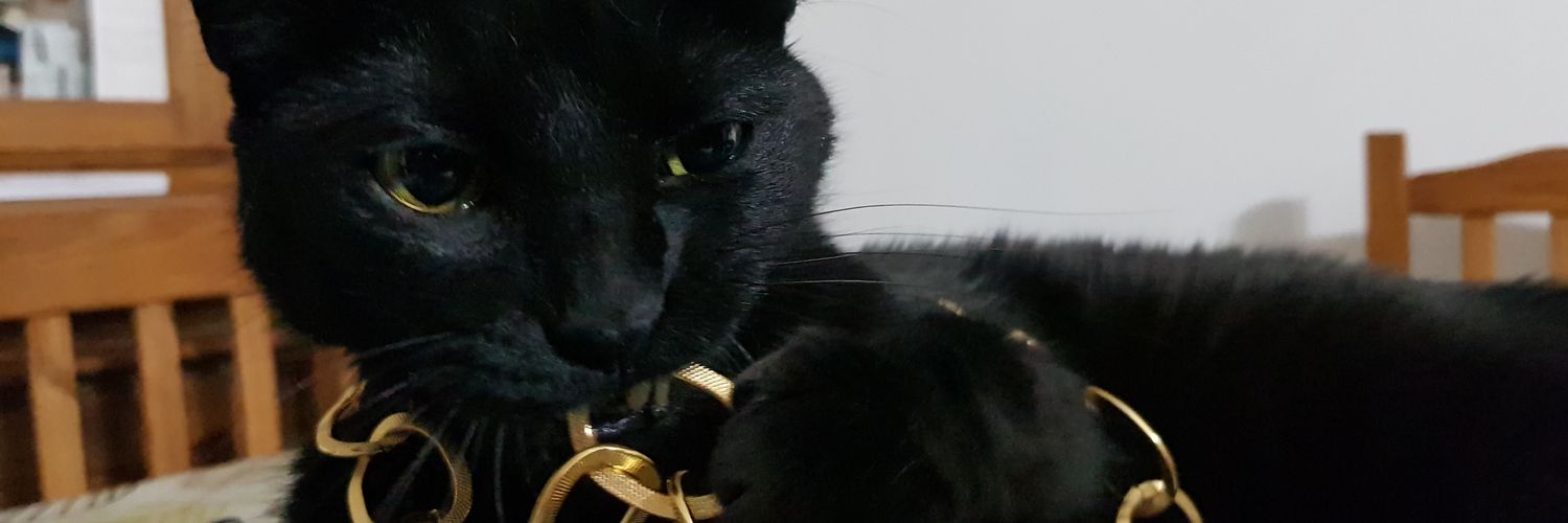miaulau's profile banner image