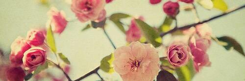 anoouukk_'s profile banner image