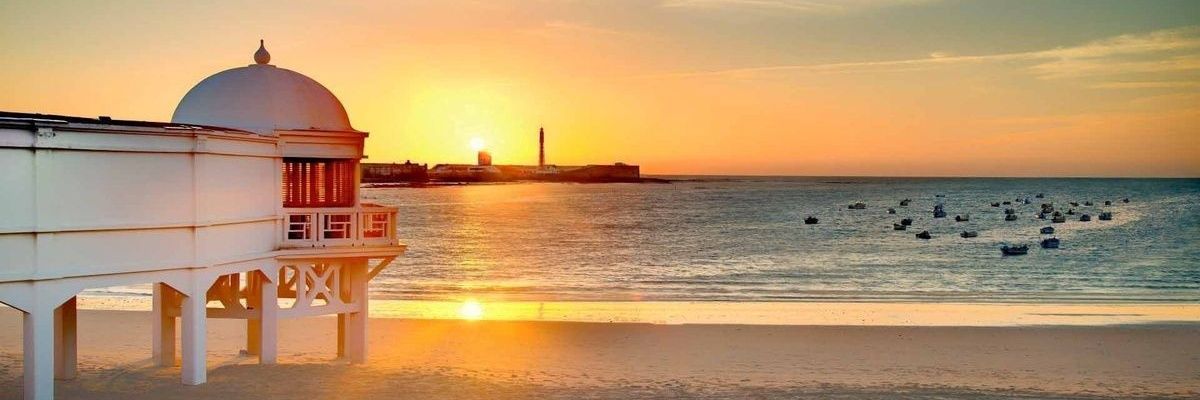 ireeneverdugo's profile banner image