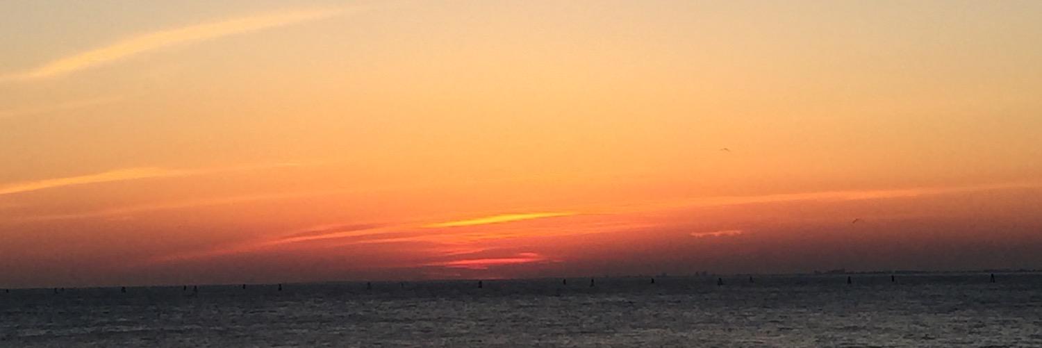 Alberto Garlini banner