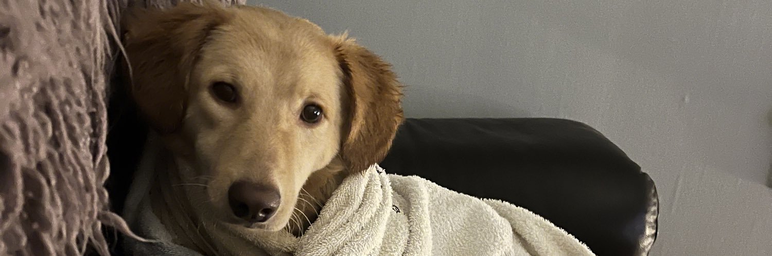 It's only Sylvie banner