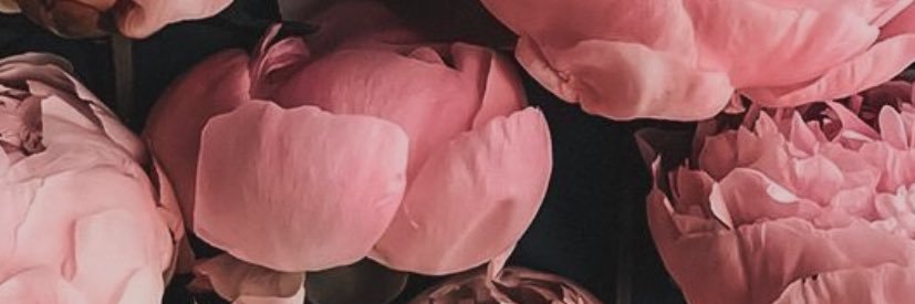 asmidarisme's profile banner image