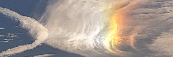 chonisummers Profile Banner