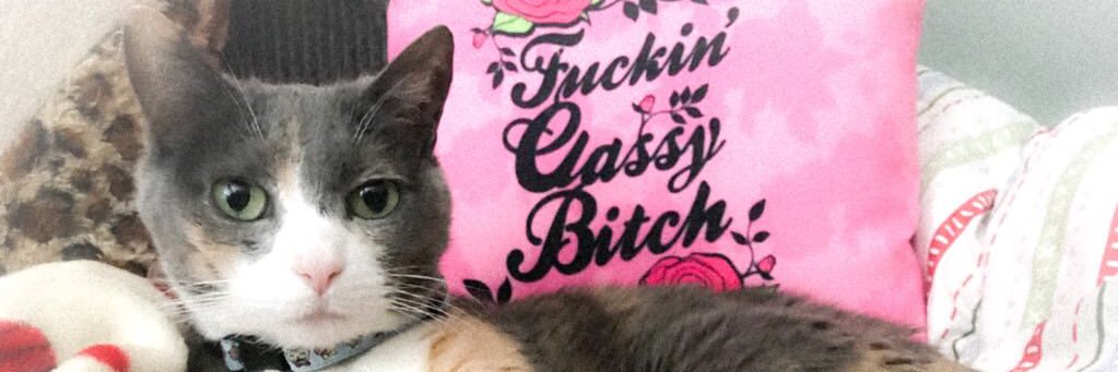 ⚡️ KAB ⚡️ banner