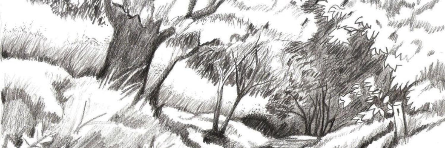 silviojosego's profile banner image