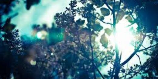 ItsVelascoLiz's profile banner image