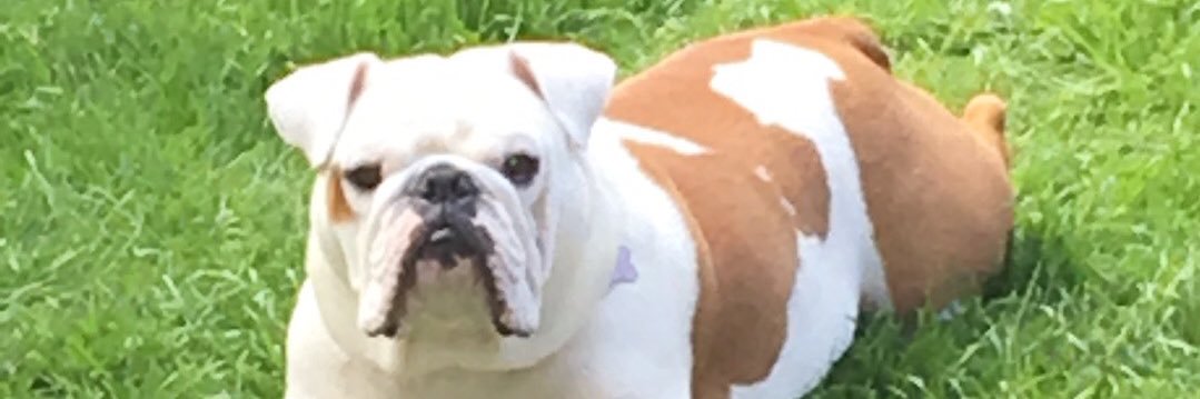 MrGreeno's profile banner image