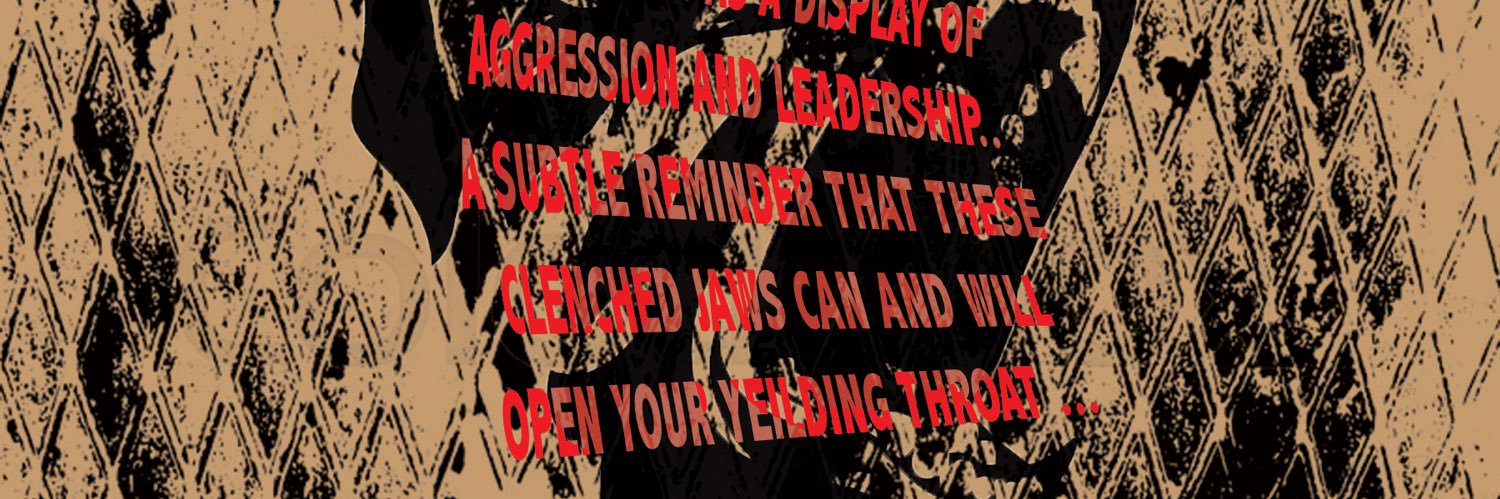 Fuckthe__Hype's profile banner image