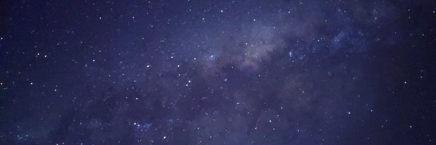 luis fong banner