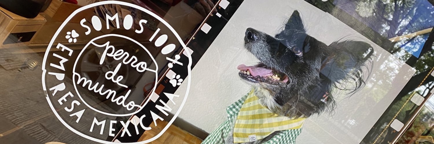 perrodemundo's profile banner image