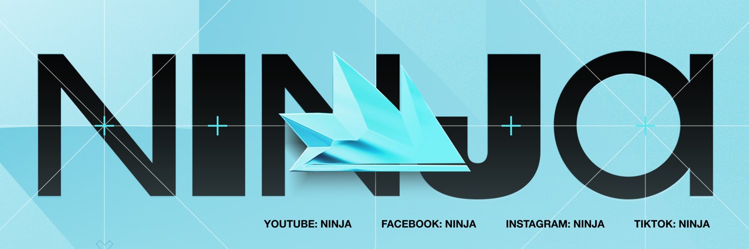 Ninja banner