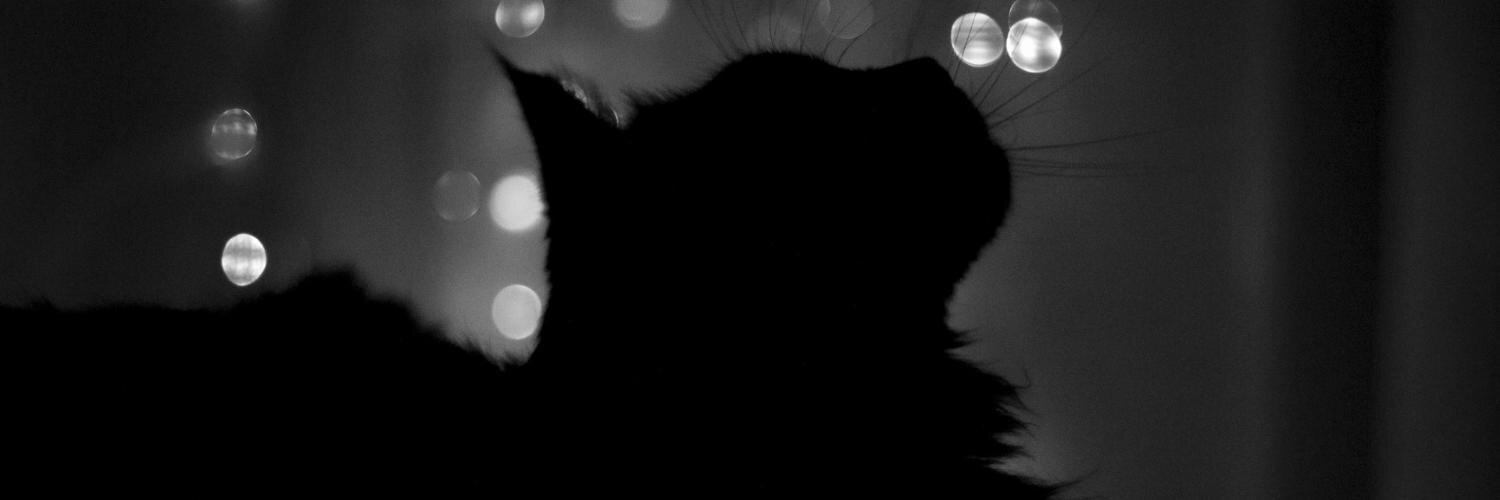 reed_caat's profile banner image