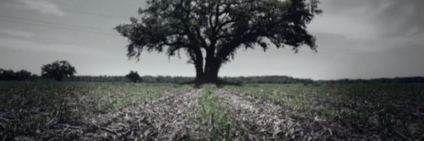 mekkare's profile banner image