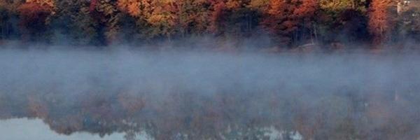 NB_Mayor's profile banner image