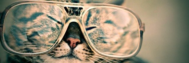 celesty_cs's profile banner image