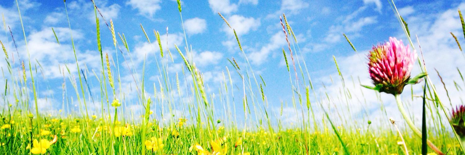 whifferg's profile banner image