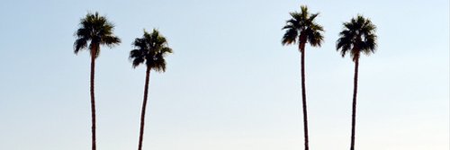 lundiestrom's profile banner image