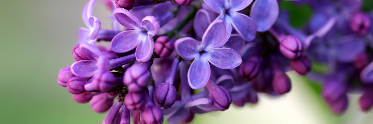 katolik's profile banner image