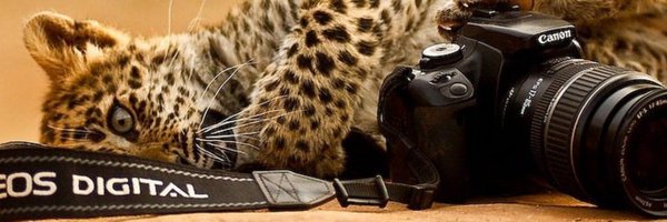 Sagi_Digital Profile Banner