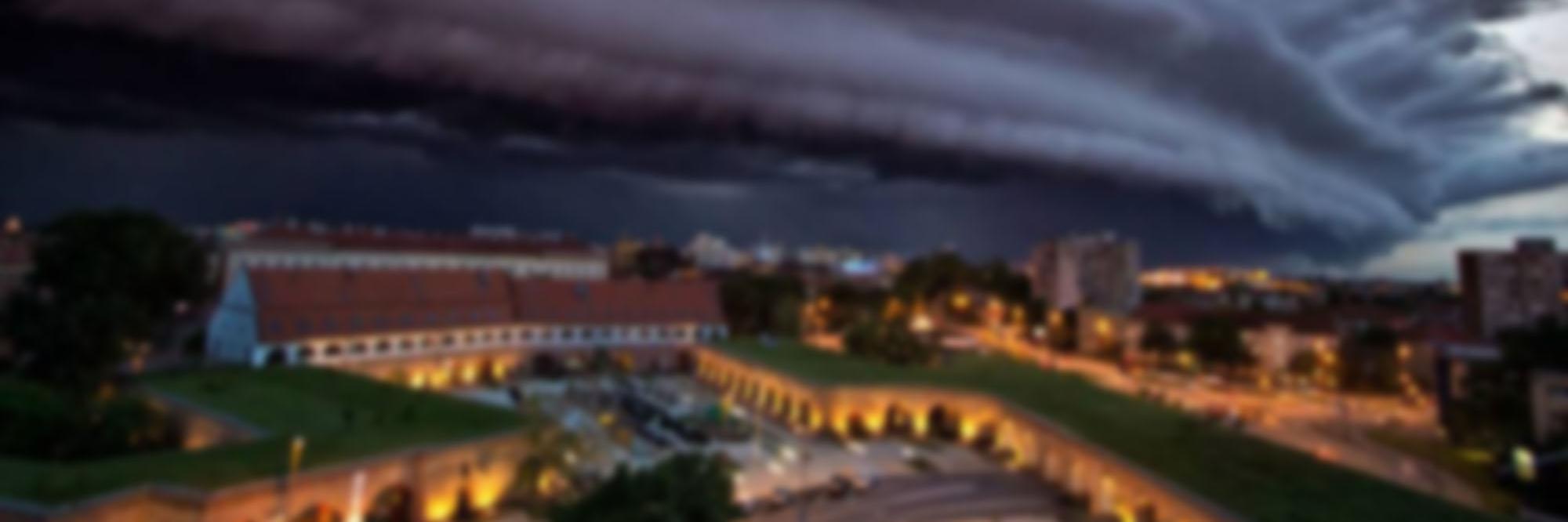 Mircea Trifan banner