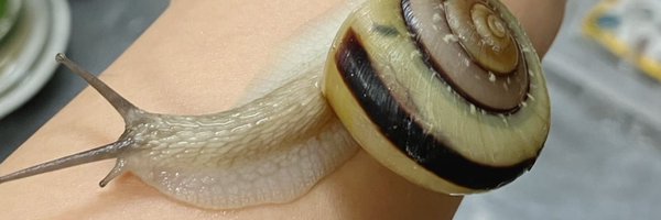 canflo Profile Banner