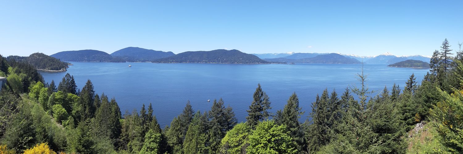 Miguel Navarro banner