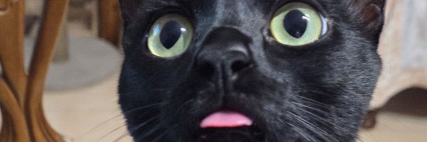 lorehellsing Profile Banner