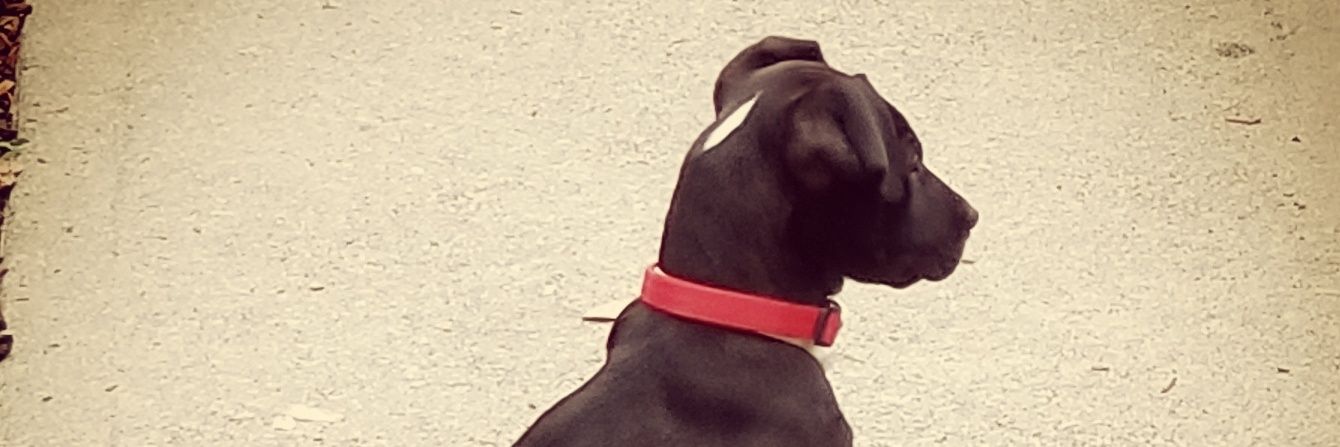 theOGmooMoo's profile banner image